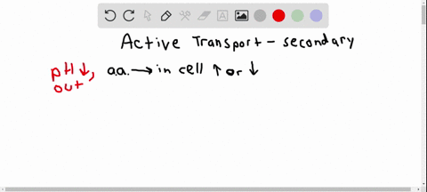 SOLVED:If the pH outside the cell decreases, would you expect the ...