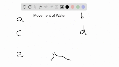 a-factor-that-contributes-to-the-movement-of-water-up-a-plant-stem-is-a-active-transport-of-water--2