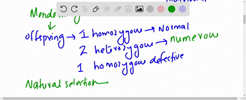 it-is-easy-to-see-how-deleterious-mutations-in-bacteria-which-have-a-single-copy-of-each-gene-are--3