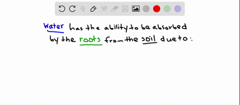 which-of-the-following-statements-best-explains-how-water-enters-root-cells-from-the-soil-a-roots-ac