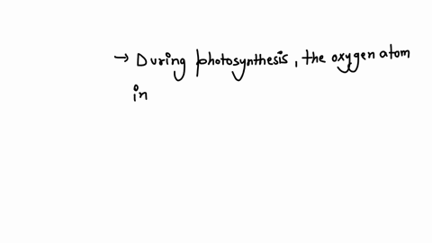 photosynthesis-in-plants-can-be-represented-by-the-following-overall-reaction-6-mathrmco_2g6-mathr-2