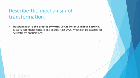 describe-the-mechanism-of-transformation-2