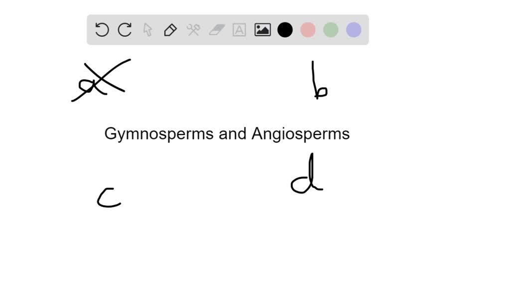 SOLVED:Which does not apply to gymnosperms or angiosperms? a. vascular ...