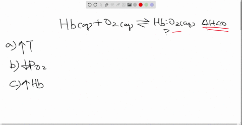 the-following-reaction-represents-the-binding-of-oxygen-by-the-protein-hemoglobin-hb-mathrmhbmathr-2