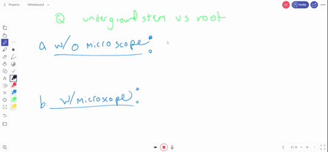 you-are-given-a-plant-part-that-was-found-growing-in-the-soil-and-are-asked-to-determine-whether-it-