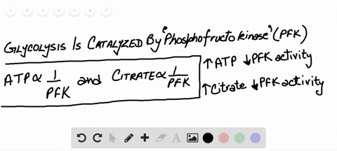 how-does-citrate-from-the-citric-acid-cycle-affect-glycolysis-a-citrate-and-atp-are-negative-regulat