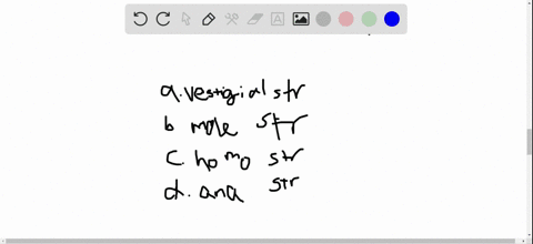 the-wing-of-a-bird-and-the-arm-of-a-human-are-examples-of-________-a-vestigial-structures-b-molecula