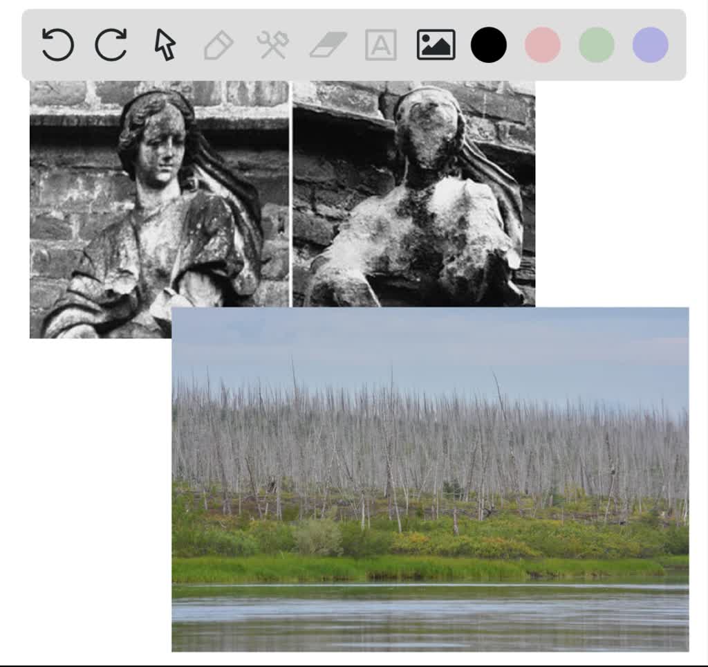 SOLVEDWhat is acid rain, how does it form, and how does it affect