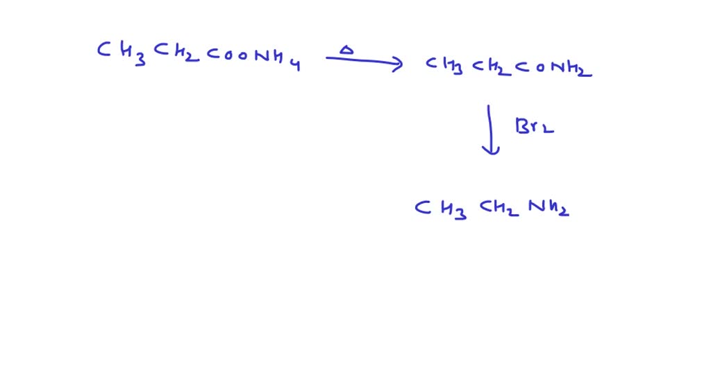 SOLVED:Ammonium Salt Of An Organic Acid (A) Is Heated To Give (B). (B ...