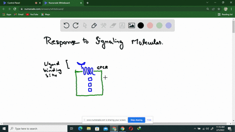 how-can-cells-respond-to-external-signaling-molecules-even-when-those-signaling-molecules-cannot-ent