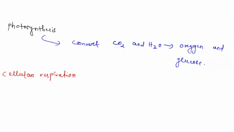 how-are-the-overall-reactions-for-photosynthesis-and-cellular-respiration-similar-and-how-are-they-d