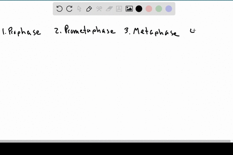 what-is-the-order-in-which-the-following-events-occur-during-cell-division-a-anaphase-b-metaphase-c-