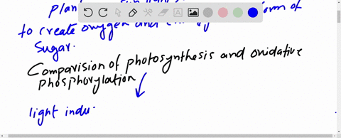 calculate-the-proton-motive-force-that-would-be-formed-across-a-thylakoid-membrane-that-maintained-2