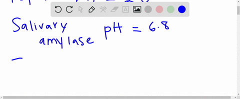 the-catalytic-efficiency-of-an-enzyme-is-called-its-activity-and-refers-to-the-rate-at-which-it-cata