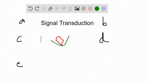 which-of-the-following-would-not-inhibit-signal-transduction-phosphate-groups-are-removed-from-prote
