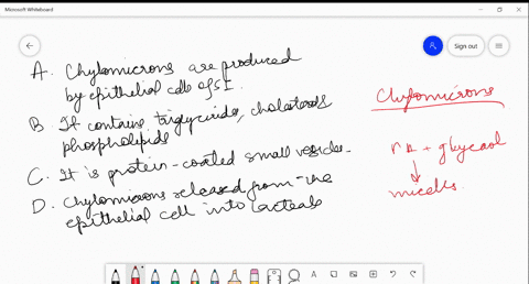 which-of-the-following-statement-is-wrong-about-chylomicrons-a-chylomicrons-are-produced-in-the-epit