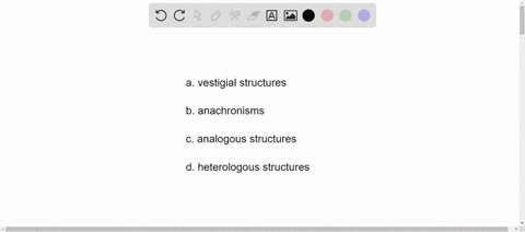 examination-of-the-skeleton-of-whales-shows-bones-similar-to-the-human-pelvic-girdle-in-whales-these
