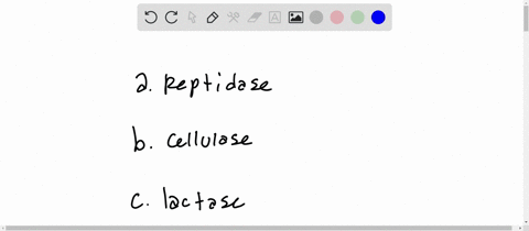 name-the-substrate-for-each-of-the-following-enzymes-a-peptidase-b-cellulase-c-lactase