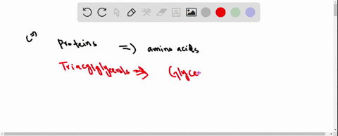 what-are-the-products-of-digestion-of-proteins-triacylglycerols-maltose-sucrose-lactose-and-starch