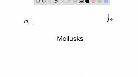 the-________are-mollusks-with-a-hinged-shell-a-bivalves-b-barnacles-c-gastropods-d-cephalopods