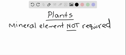 which-of-the-following-is-not-an-essential-mineral-element-for-plants-a-potassium-b-magnesium-c-ca-2