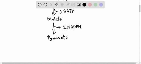 how-many-atp-can-be-produced-by-the-complete-oxidation-of-each-propionyl-coa-product-of-fatty-acid-o