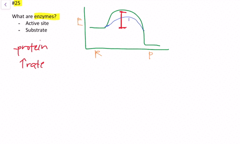what-are-enzymes-what-is-the-active-site-of-an-enzyme-what-is-a-substrate