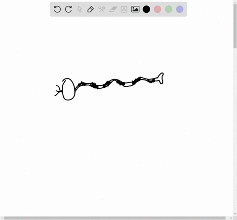 the-rate-of-propagation-of-an-action-potential-depends-on-a-whether-or-not-the-axon-is-myelinated-b-