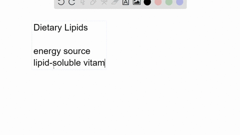 explain-why-some-dietary-lipid-is-a-necessary-part-of-a-balanced-diet