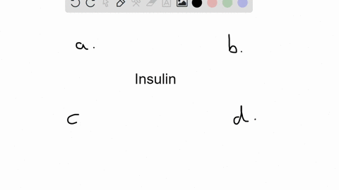 which-of-the-following-statements-about-insulin-is-true-a-insulin-acts-as-a-transport-protein-carryi