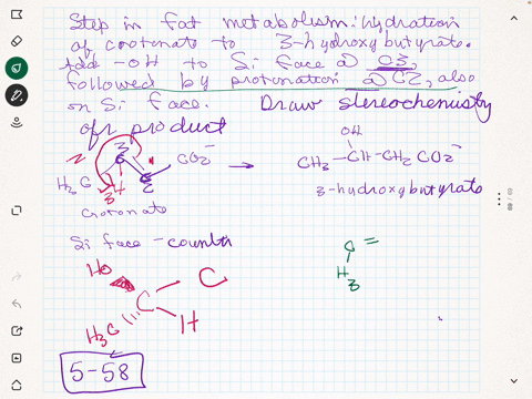 one-of-the-steps-in-fat-metabolism-is-the-hydration-of-crotonate-to-yield-3-hydroxybutyrate-this-rea