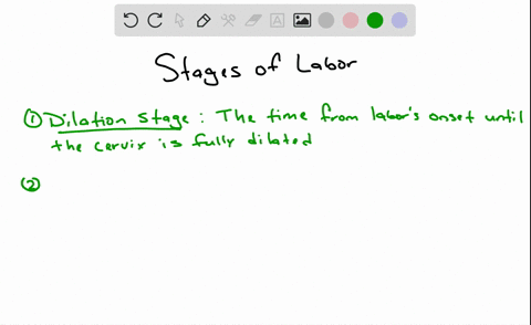the-initial-stage-of-labor-during-which-the-neck-of-the-uterus-is-stretched-is-the-a-dilation-stage-