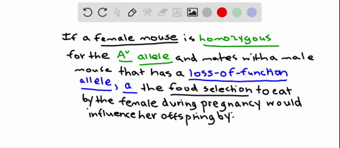 a-female-mouse-that-is-homozygous-for-the-av-allele-is-mated-to-a-male-that-is-homozygous-for-a-loss