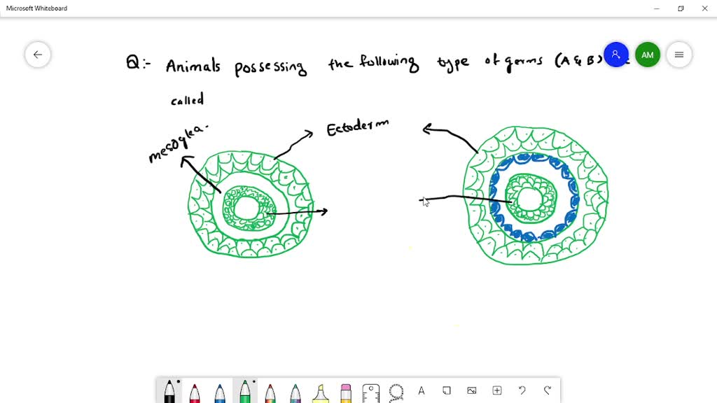 SOLVEDThe animals possessing the following type of germ layers (A and