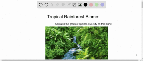 which-land-biome-contains-the-greatest-species-diversity-a-tundra-b-grassland-c-desert-d-tropical-ra