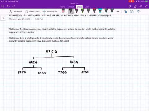 the-following-two-statements-explain-the-logic-behind-the-use-of-molecular-sequence-data-to-estimate