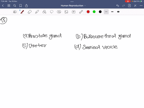 what-is-indicated-by-b-in-the-figure-a-prostate-gland-b-bulbourethral-gland-c-ureter-d-seminal-vesic