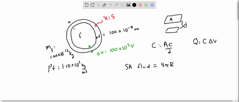 a-model-of-a-red-blood-cell-portrays-the-cell-as-a-spherical-capacitor-a-positively-charged-liquid-s