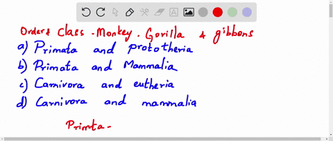 monkey-gorilla-and-gibbons-belongs-to-which-of-the-following-order-and-class-respectively-a-primata-