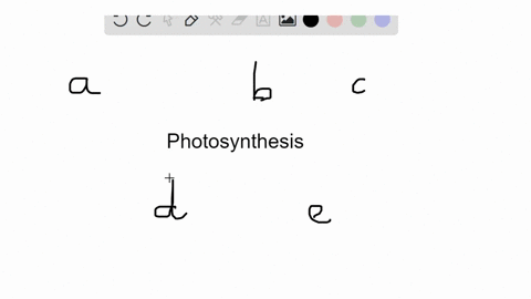 which-of-the-following-is-not-a-photosynthetic-pigment-a-chlorophyll-a-b-chlorophyll-b-c-carotenoid-