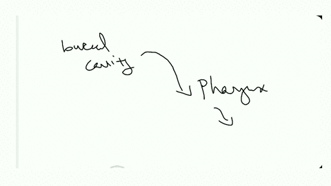 the-bolus-formed-in-buccal-cavity-conveyed-into-pharynx-and-then-esophagus-by-the-process-is-calle-2