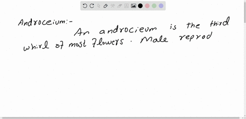 what-is-an-androecium-of-which-flower-parts-is-it-composed