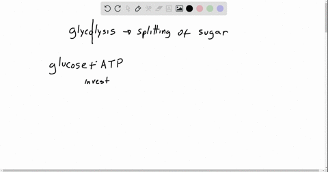 the-net-products-of-glycolysis-are-a-6-mathrmco_2-4-mathrmatp-and-2-mathrmnadh-b-2-pyruvate-2-atp-an