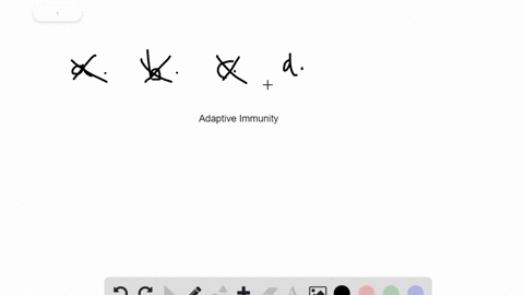 which-of-the-following-is-not-part-of-adaptive-immunity-a-phagocytes-b-antigen-presenting-cells-c-mh
