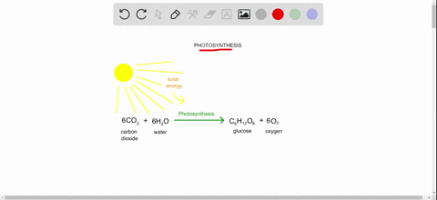 life-is-solar-powered-almost-all-the-producers-of-the-biosphere-depend-on-energy-from-the-sun-to-pro