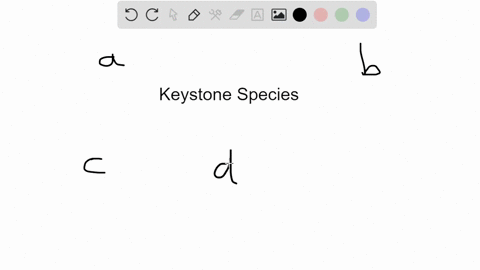 wolves-are-considered-a-keystone-species-in-yellowstone-because-a-their-removal-in-the-early-twentie