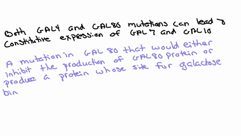yeast-genes-have-c-is-acting-elements-upstream-of-their-promoters-similar-to-enhancers-called-upstre