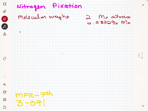 nitrogen-fixation-in-the-root-nodules-of-peas-and-other-leguminous-plants-is-carried-out-by-the-mo-2