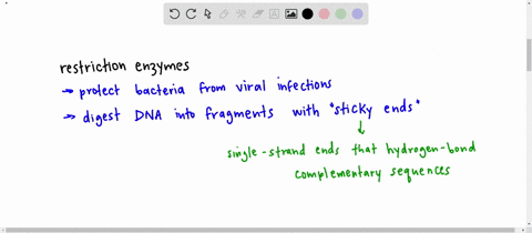 restriction-enzymes-used-in-most-cloning-experiments-a-cut-dna-into-pieces-for-gene-cloning-b-are-na