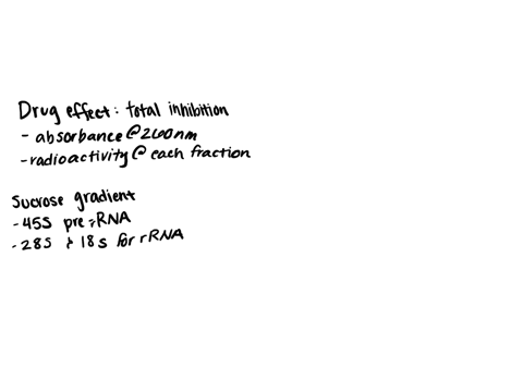 you-have-just-isolated-a-new-drug-that-has-only-one-effect-on-cell-metabolism-it-totally-inhibits-th